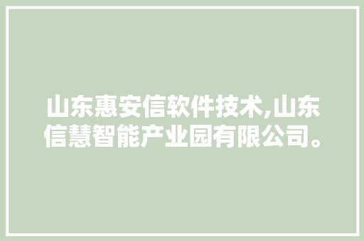 山东惠安信软件技术,山东信慧智能产业园有限公司。 软件技术