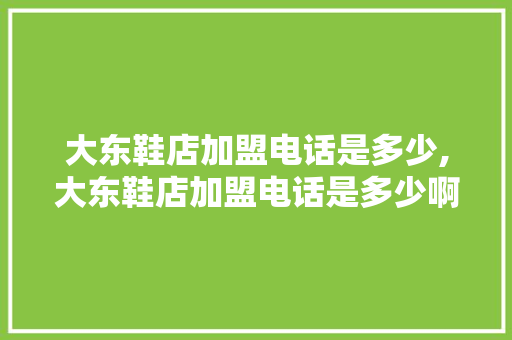 大东鞋店加盟电话是多少,大东鞋店加盟电话是多少啊。 智能科技