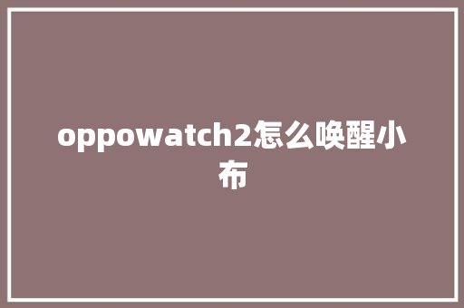 oppowatch2怎么唤醒小布 人工智能