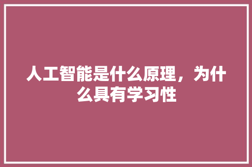 人工智能是什么原理，为什么具有学习性 人工智能