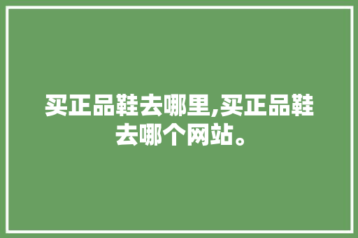 买正品鞋去哪里,买正品鞋去哪个网站。 智能科技