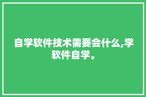 自学软件技术需要会什么,学软件自学。 软件技术