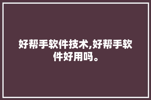 好帮手软件技术,好帮手软件好用吗。 软件技术