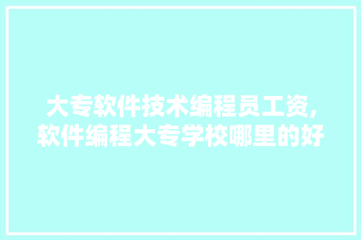 大专软件技术编程员工资,软件编程大专学校哪里的好?。 软件技术