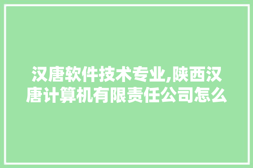 汉唐软件技术专业,陕西汉唐计算机有限责任公司怎么样。 软件技术