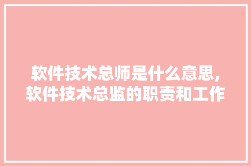 软件技术总师是什么意思,软件技术总监的职责和工作内容。 软件技术