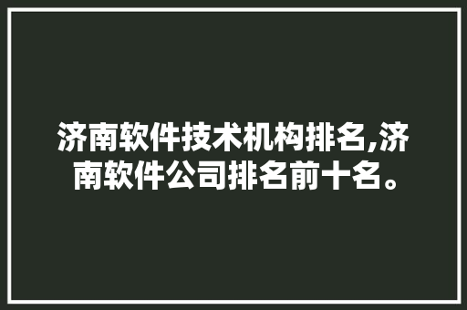 济南软件技术机构排名,济南软件公司排名前十名。 软件技术