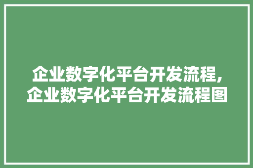 企业数字化平台开发流程,企业数字化平台开发流程图。 智能科技
