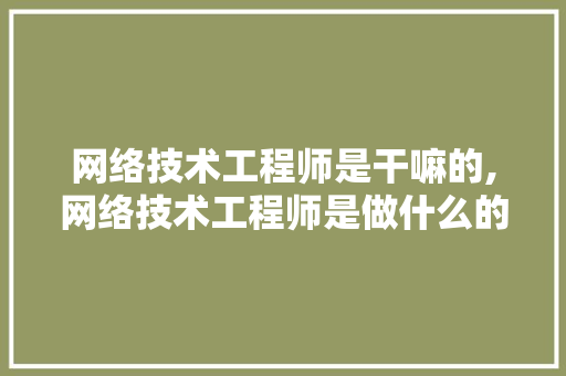 网络技术工程师是干嘛的,网络技术工程师是做什么的。 智能科技
