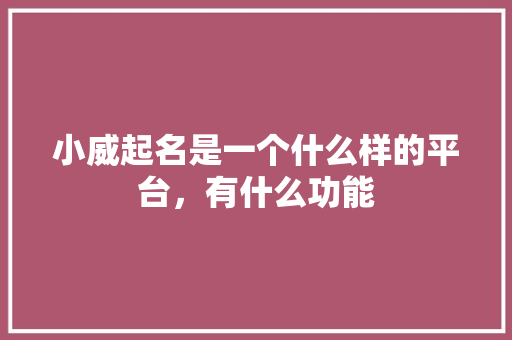 小威起名是一个什么样的平台，有什么功能 人工智能