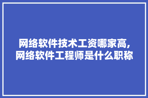 网络软件技术工资哪家高,网络软件工程师是什么职称。 软件技术