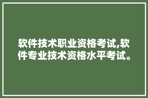 软件技术职业资格考试,软件专业技术资格水平考试。 软件技术