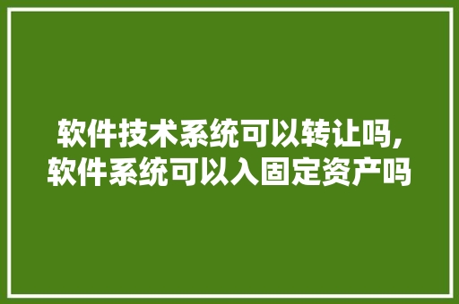 软件技术系统可以转让吗,软件系统可以入固定资产吗。 软件技术