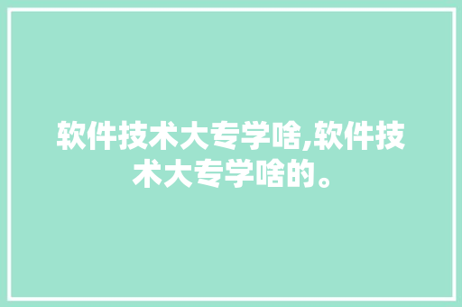 软件技术大专学啥,软件技术大专学啥的。 软件技术