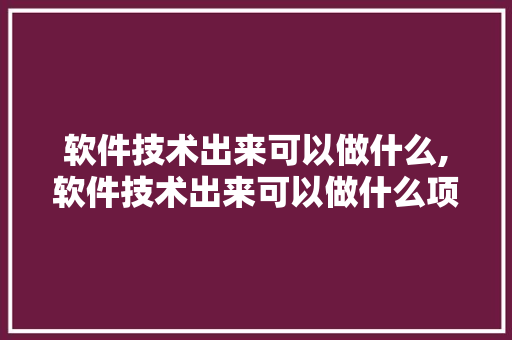 软件技术出来可以做什么,软件技术出来可以做什么项目。 软件技术