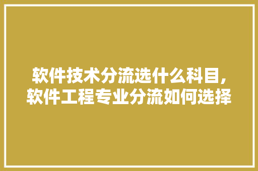 软件技术分流选什么科目,软件工程专业分流如何选择。 软件技术