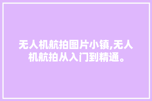 无人机航拍图片小镇,无人机航拍从入门到精通。 智能科技