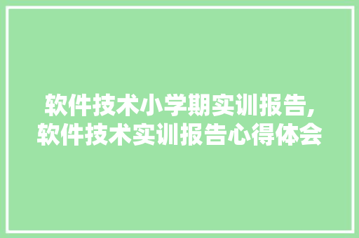 软件技术小学期实训报告,软件技术实训报告心得体会。 软件技术