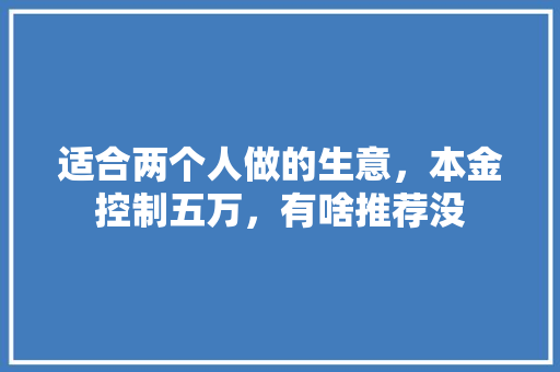 适合两个人做的生意，本金控制五万，有啥推荐没 人工智能