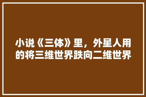 小说《三体》里，外星人用的将三维世界跌向二维世界的二向箔，在原理上最有可能怎么实现 人工智能
