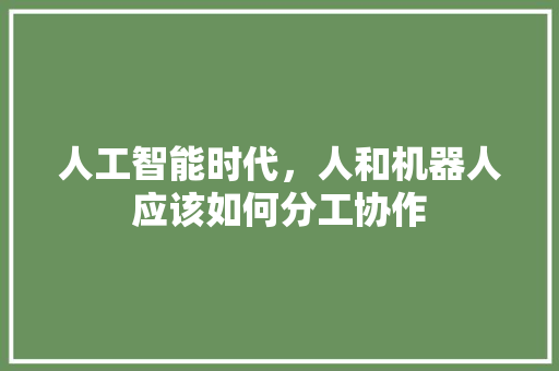 人工智能时代，人和机器人应该如何分工协作 人工智能