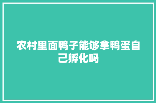 农村里面鸭子能够拿鸭蛋自己孵化吗 人工智能