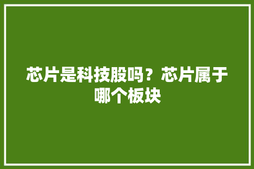 芯片是科技股吗？芯片属于哪个板块 人工智能