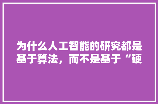 为什么人工智能的研究都是基于算法，而不是基于“硬件” 人工智能