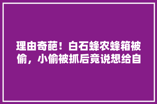 理由奇葩！白石蜂农蜂箱被偷，小偷被抓后竟说想给自家果园果树授粉, 你怎么看 人工智能