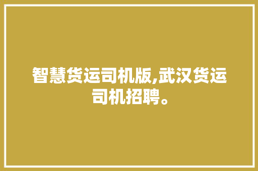 智慧货运司机版,武汉货运司机招聘。 智能科技