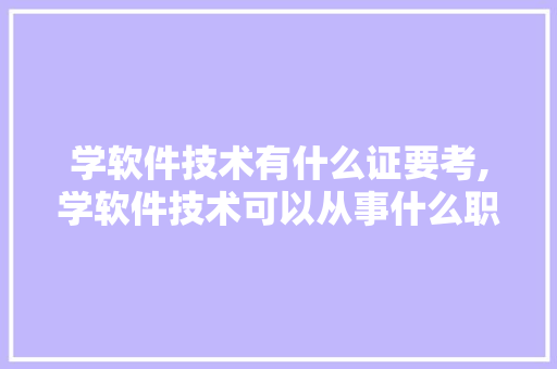 学软件技术有什么证要考,学软件技术可以从事什么职业。 软件技术