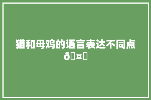 猫和母鸡的语言表达不同点🤔 人工智能