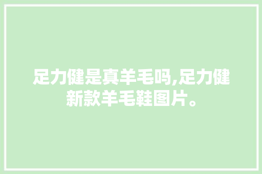 足力健是真羊毛吗,足力健新款羊毛鞋图片。 智能科技