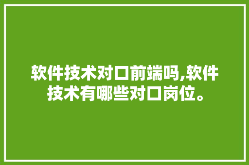 软件技术对口前端吗,软件技术有哪些对口岗位。 软件技术