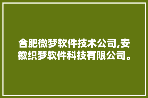 合肥微梦软件技术公司,安徽织梦软件科技有限公司。 软件技术