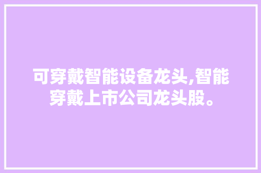 可穿戴智能设备龙头,智能穿戴上市公司龙头股。 智能科技