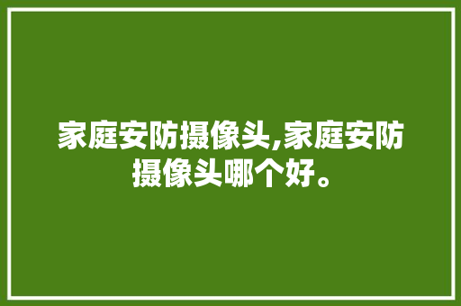 家庭安防摄像头,家庭安防摄像头哪个好。 智能科技