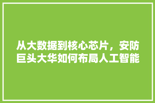 从大数据到核心芯片，安防巨头大华如何布局人工智能 人工智能