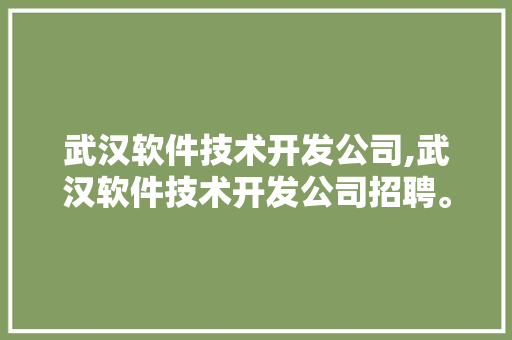 武汉软件技术开发公司,武汉软件技术开发公司招聘。 软件技术
