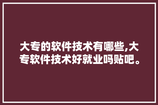 大专的软件技术有哪些,大专软件技术好就业吗贴吧。 软件技术