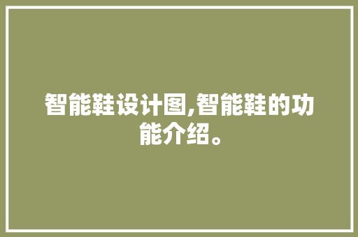 智能鞋设计图,智能鞋的功能介绍。 智能科技