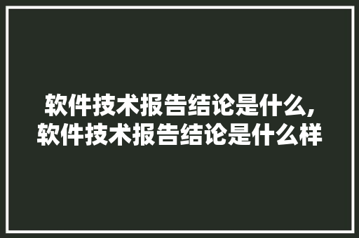 软件技术报告结论是什么,软件技术报告结论是什么样的。 软件技术