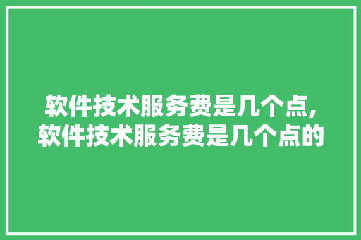 软件技术服务费是几个点,软件技术服务费是几个点的。 软件技术