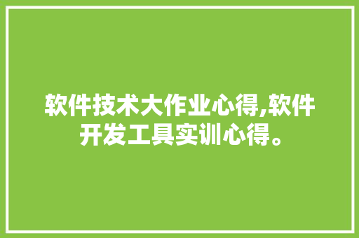 软件技术大作业心得,软件开发工具实训心得。 软件技术