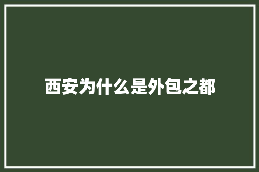 西安为什么是外包之都 人工智能