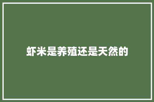 虾米是养殖还是天然的 人工智能