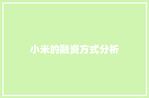 小米的融资方式分析 人工智能