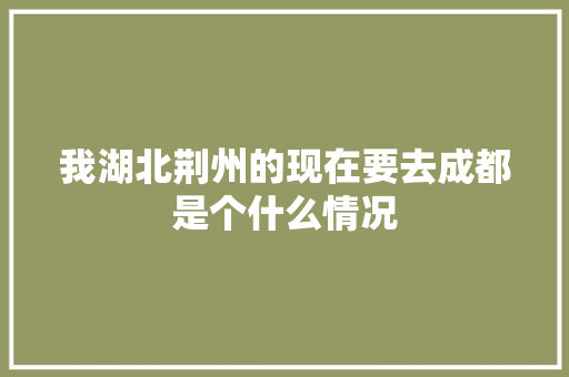 我湖北荆州的现在要去成都是个什么情况 人工智能