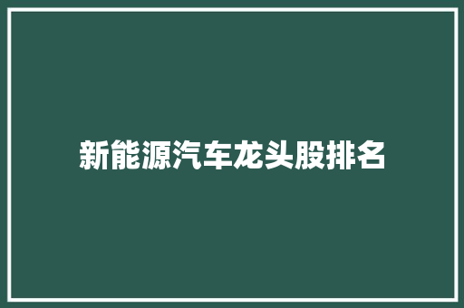 新能源汽车龙头股排名 人工智能