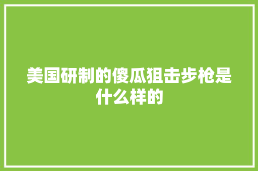 美国研制的傻瓜狙击步枪是什么样的 人工智能